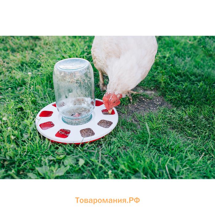 Поилка для домашней птицы, под банку и бутылку, d=220 мм, МИКС