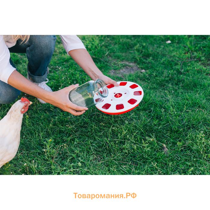Поилка для домашней птицы, под банку и бутылку, d=220 мм, МИКС