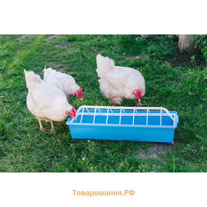 Кормушка - поилка для бройлеров, 12 ячеек, лотковая, пластик, цвет МИКС