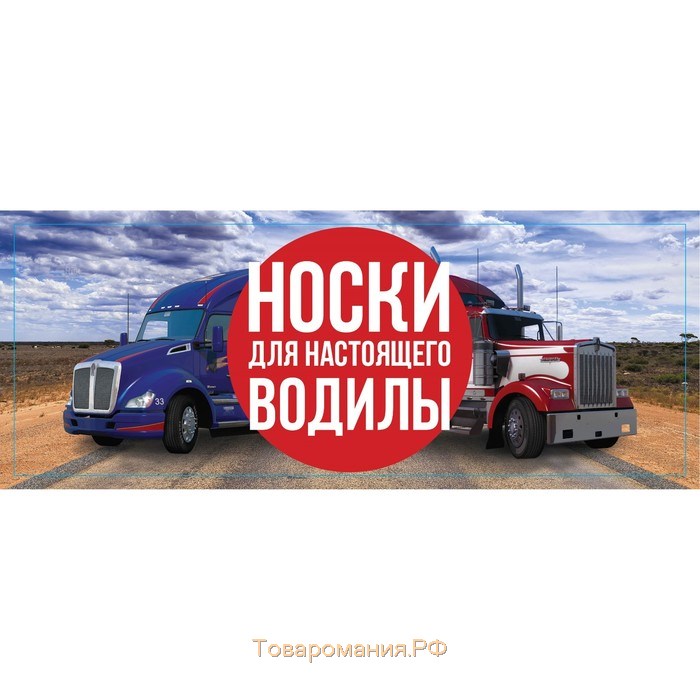 Носки в банке "Носки для настоящего водилы" (мужские, цвет черный)