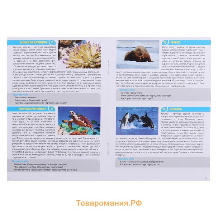 Настольная игра «Мемо. Водный мир»