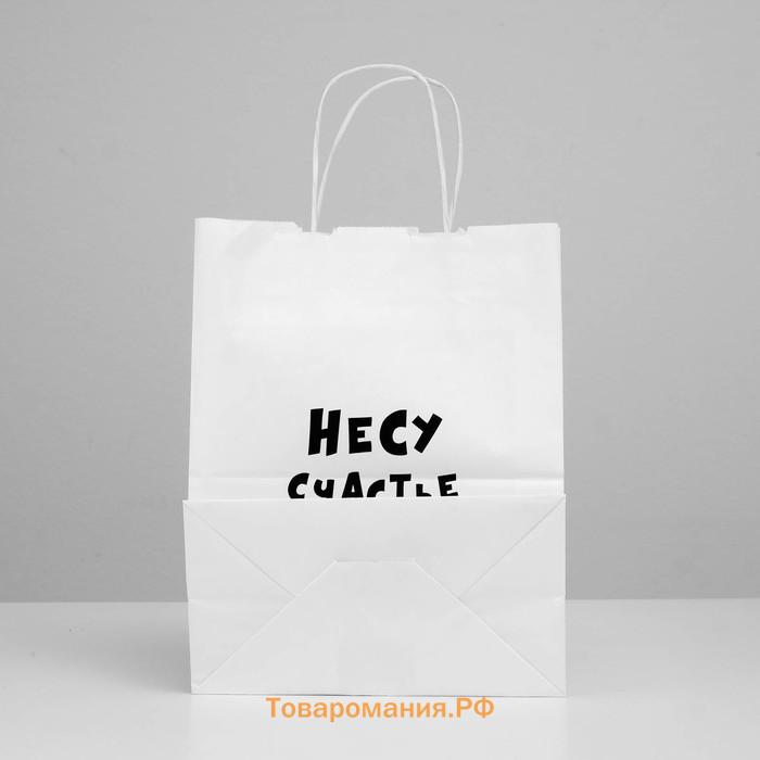 Пакет подарочный «Несу счастье », 24×14×28 см