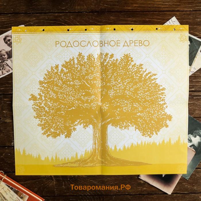 Родословная книга «Семейная», с деревянным элементом, 84 страницы, 24.5×23×4 см