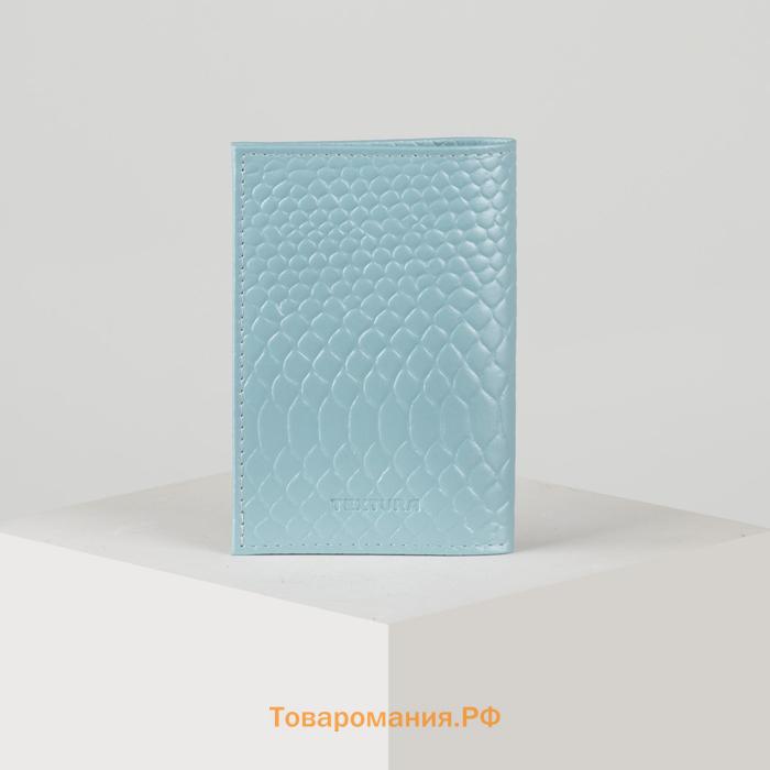 Обложка для паспорта TEXTURA, цвет голубой