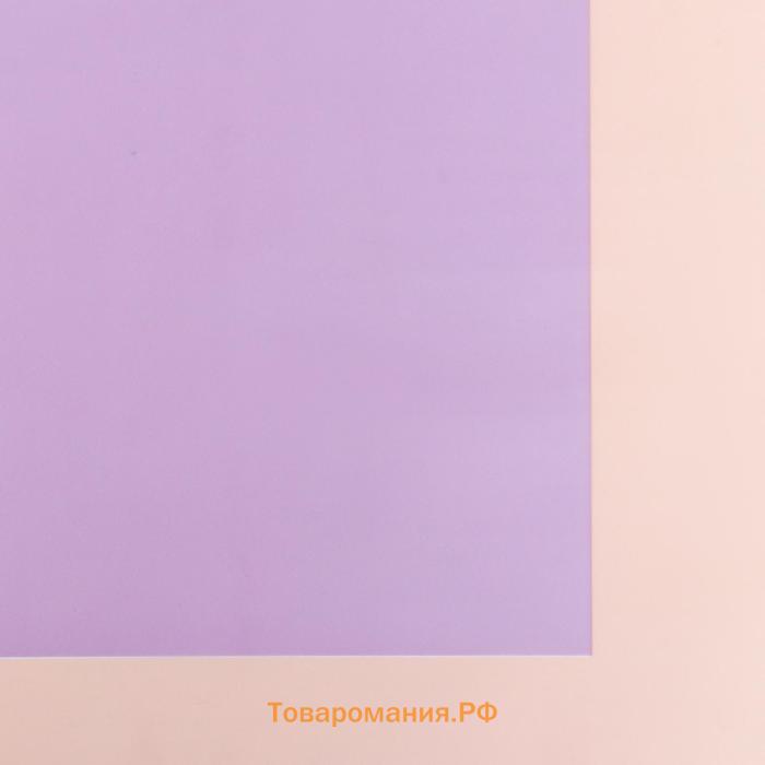 Пленка матовая, 58×58 см, пудра+сиреневый