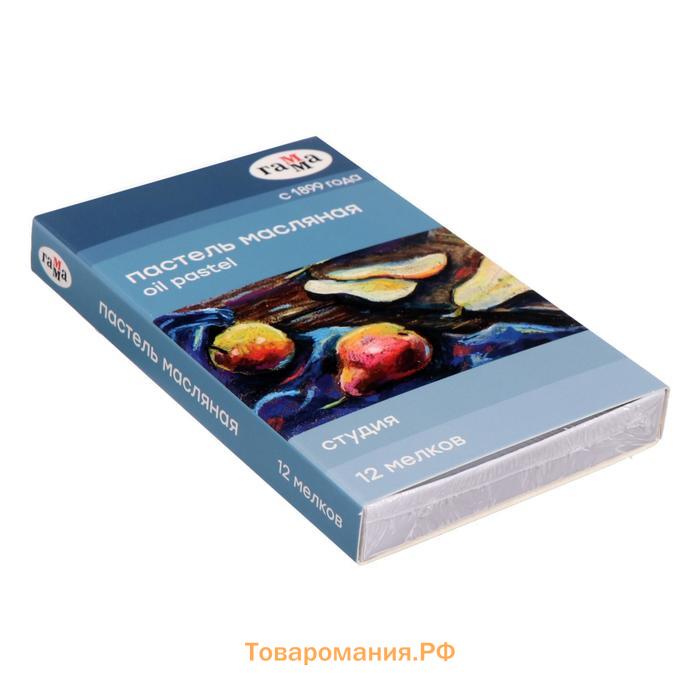 Пастель масляная, набор 12 цветов, Гамма "Студия", d-8мм, l-65мм, в картонной коробке