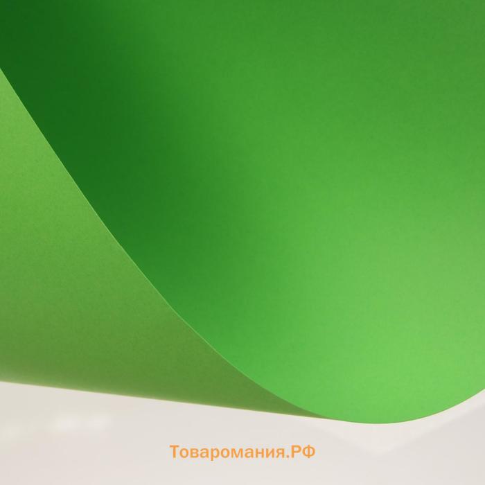 Картон цветной тонированный А2, 200 г/м², зелёный