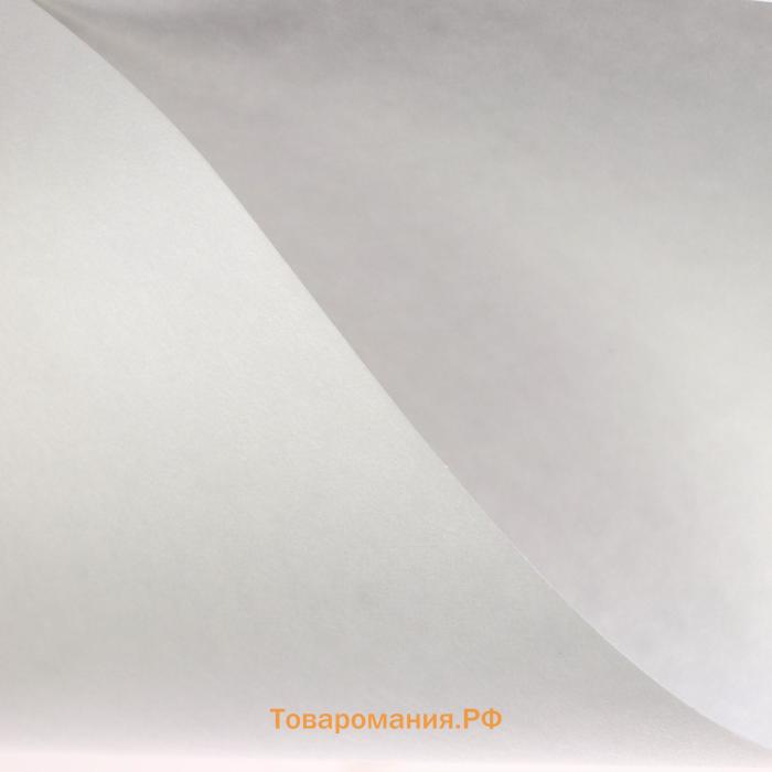Бумага для рисования А4, 10 листов "Саша", 120 г/м², в папке