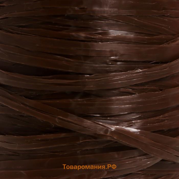 Пряжа "Для вязания мочалок" 100% полипропилен 300м/75±10 гр в форме цилиндра (мол.шоколад)