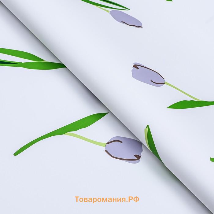 Пленка для цветов матовая, «Акварельные тюльпаны», 57×56 см, сиреневые