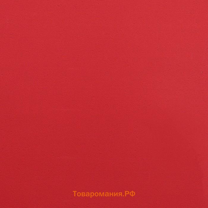 Пленка для цветов матовая, 56×57 см