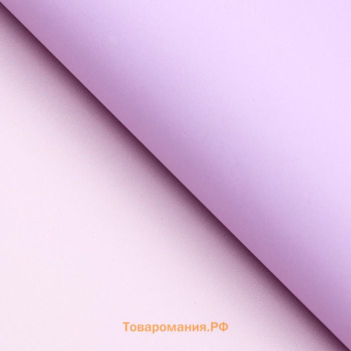 Пленка для цветов матовая, 56×57 см