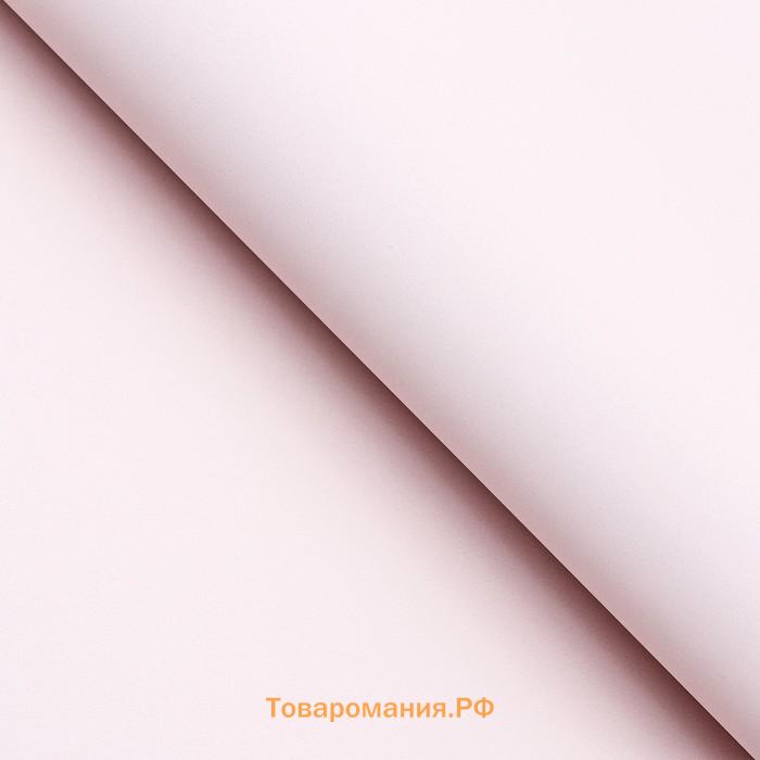 Пленка для цветов матовая, 56×57 см