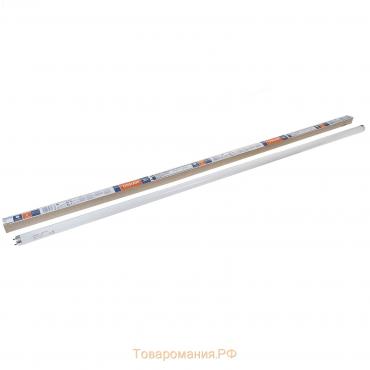 Лампа люминесцентная Osram L 36W/765, G13, 36 Вт, 6500 К, 1200 мм