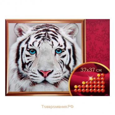 Алмазная мозаика с частичным заполнением на холсте «Белый тигр», 37 х 37 см