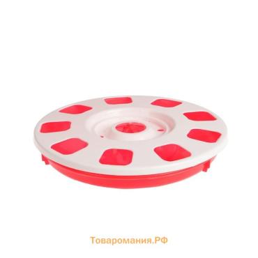 Поилка для домашней птицы, под банку и бутылку, d=220 мм, МИКС