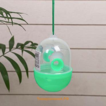 Ловушка для пчёл и ос, зелёная, Greengo