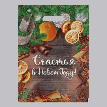 Пакет «Счастья в Новом Году», полиэтиленовый с вырубной ручкой, 30×40 см