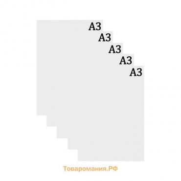 Набор ватманов чертёжных А3, 160 г/м², 5 листов