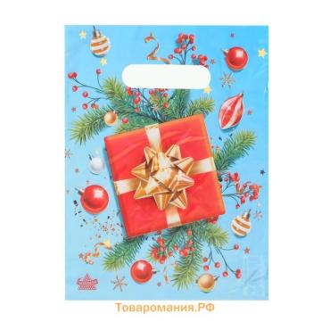 Пакет «Красный подарок», полиэтиленовый с вырубной ручкой, 19×25 см